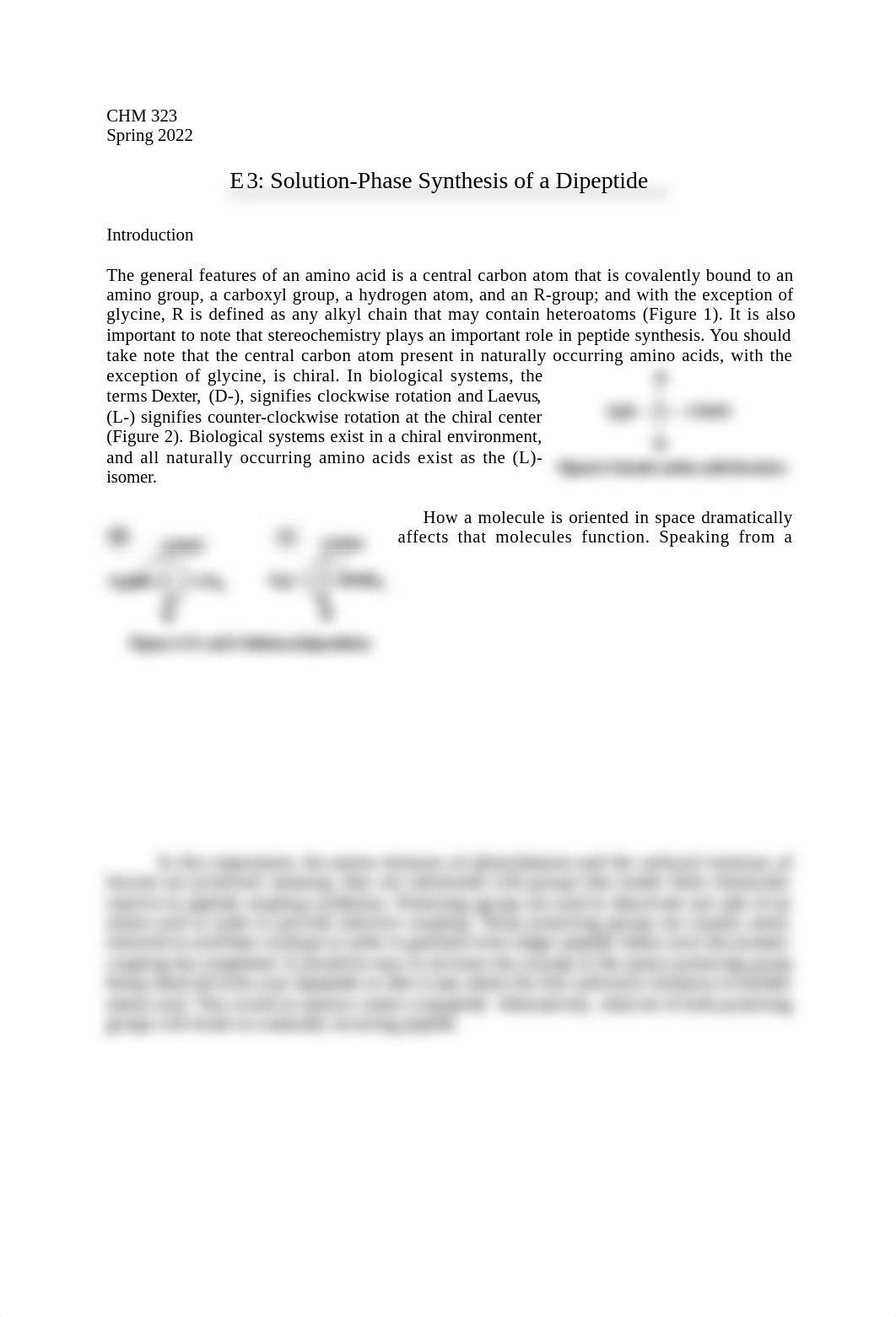 E3 - Synthesis of a Dipeptide.docx_dktlmizw1x8_page1