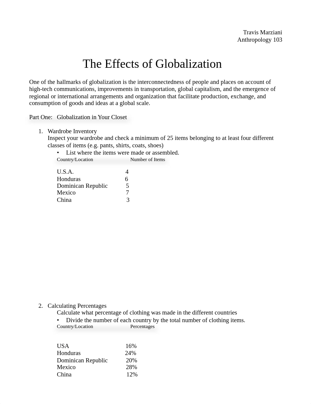 The Effects of Globalization_dktnad5qirp_page1