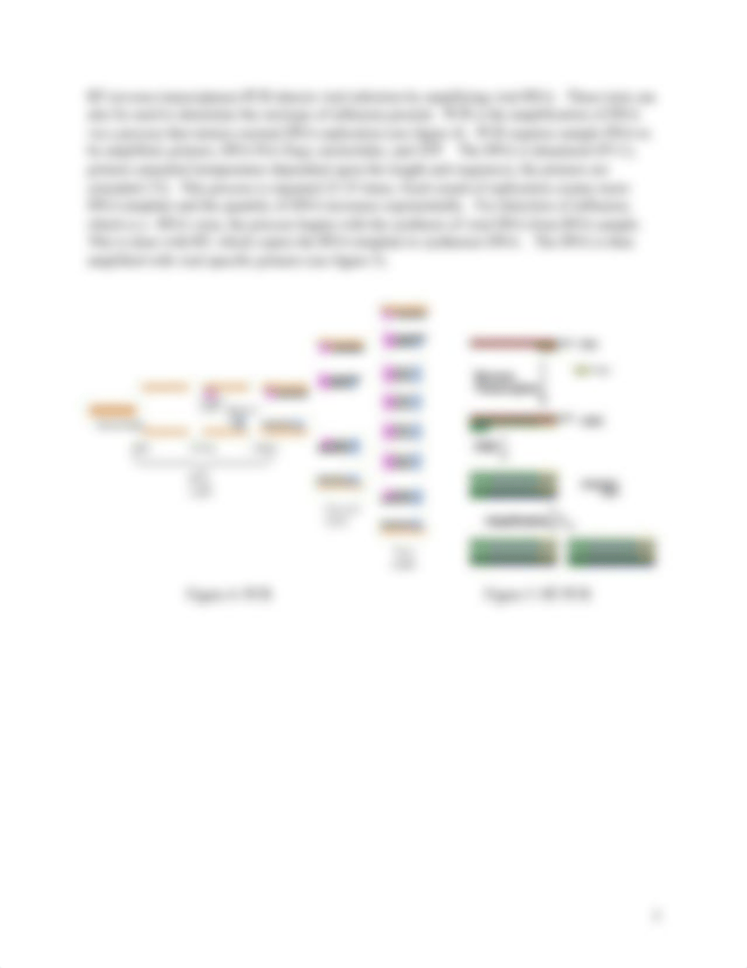 Fludetectionmutation-online (2).pdf_dktwsdtt9is_page3