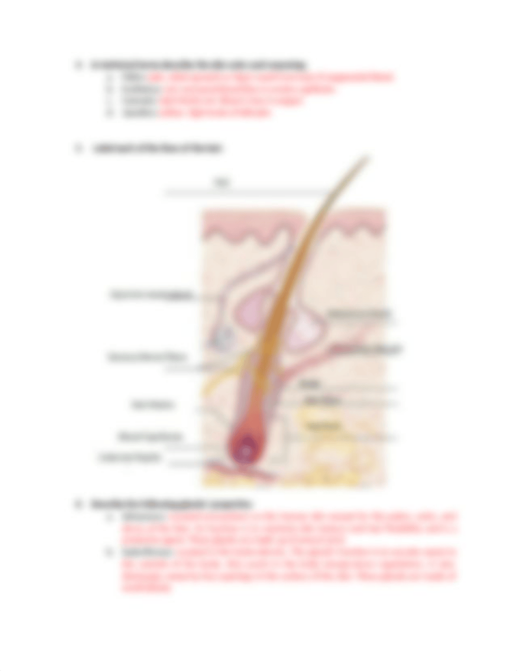 Chapter 6 Concept complete.doc_dku15vsezy8_page2