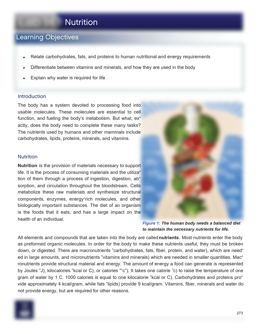 Human_Biology_Sample_Lab.pdf_dku6z617rml_page3