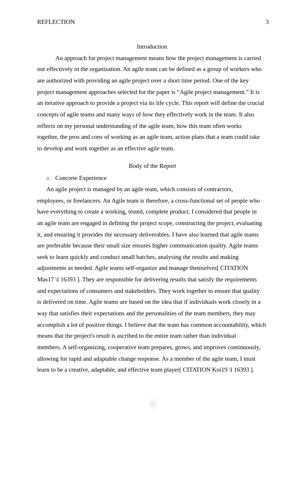 Reflection on Agile ways of working and Agile teams.docx_dku9a61h16k_page3