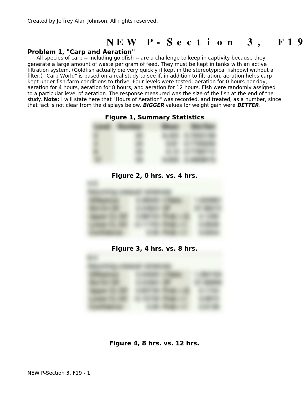 NEW P-Section 3, F19.docx_dkupltmeiil_page1