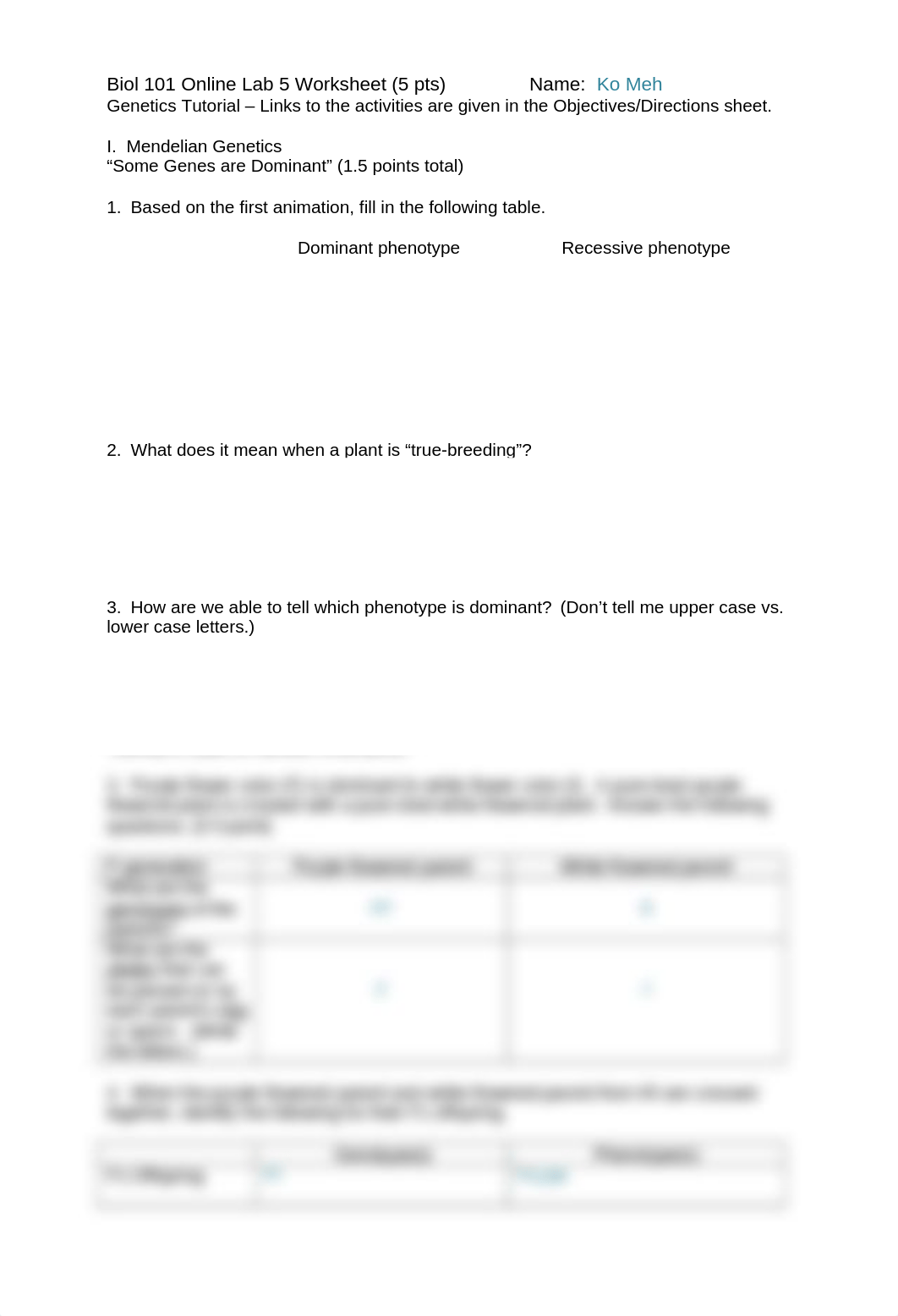 Worksheet Lab 5.docx_dkus9ma62cx_page1