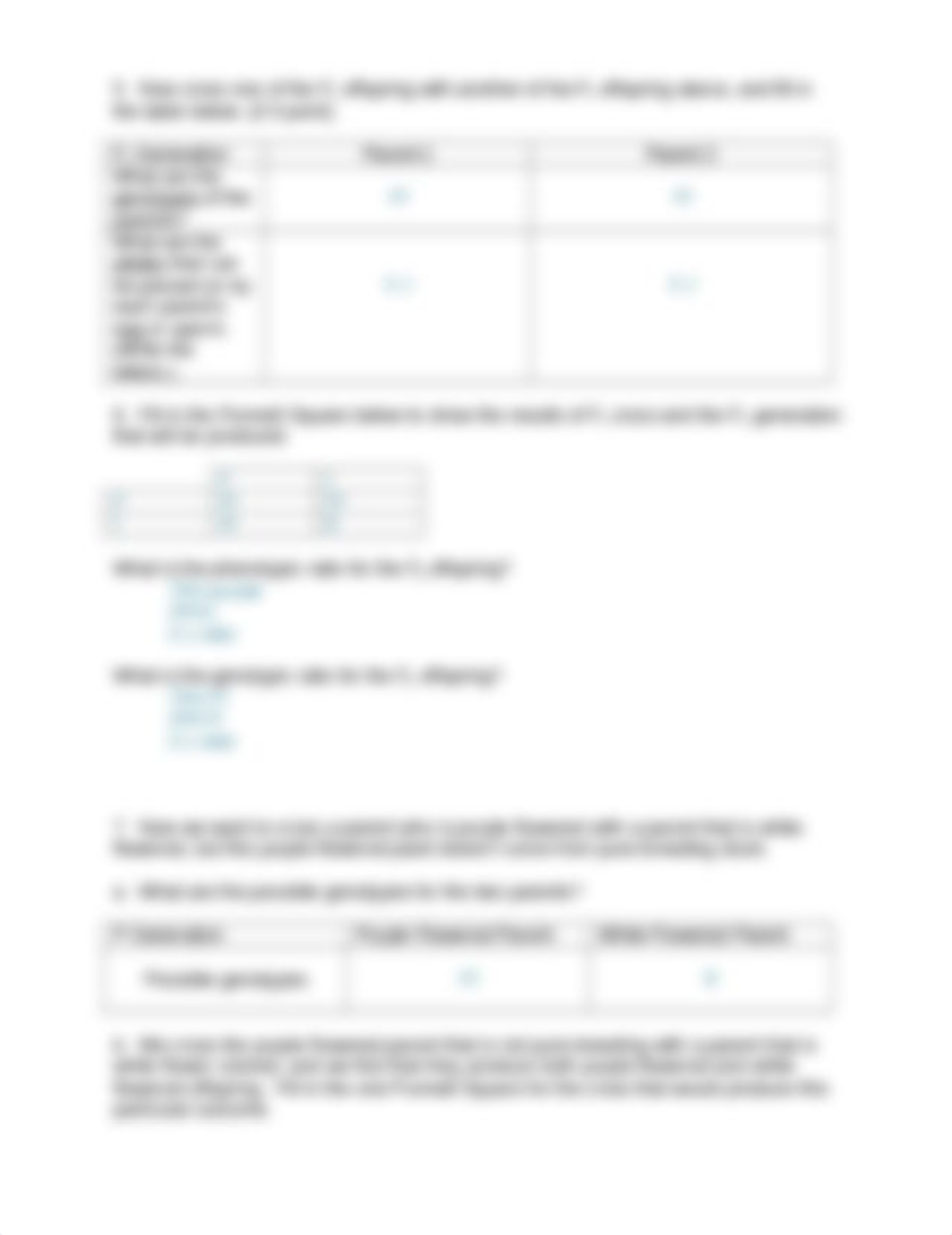 Worksheet Lab 5.docx_dkus9ma62cx_page2