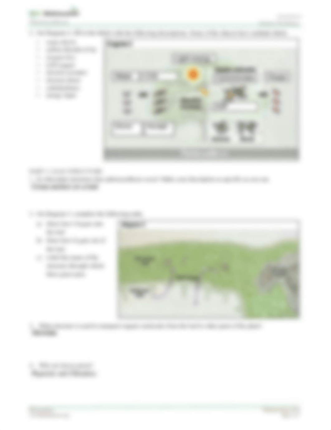 Photosynthesis-StudentWS-animation.pdf_dkuslnrny8e_page2