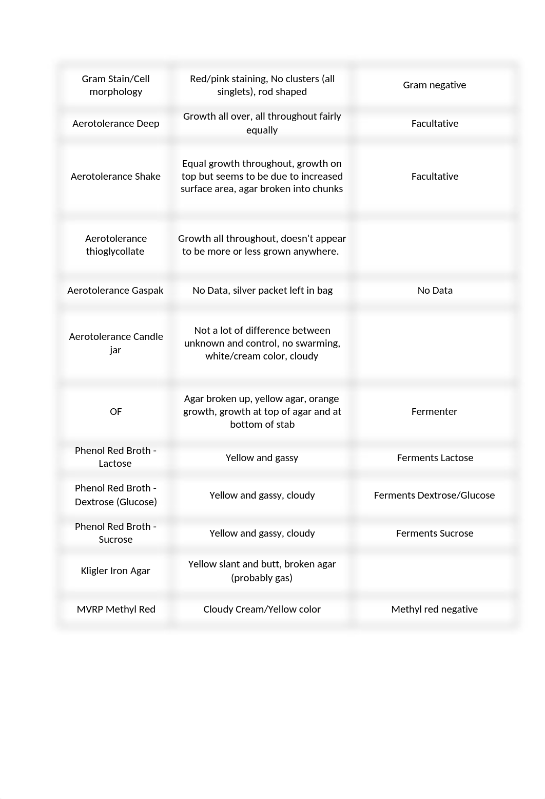 Unknown Bacteria Report 1.docx_dkuszdsf08f_page3