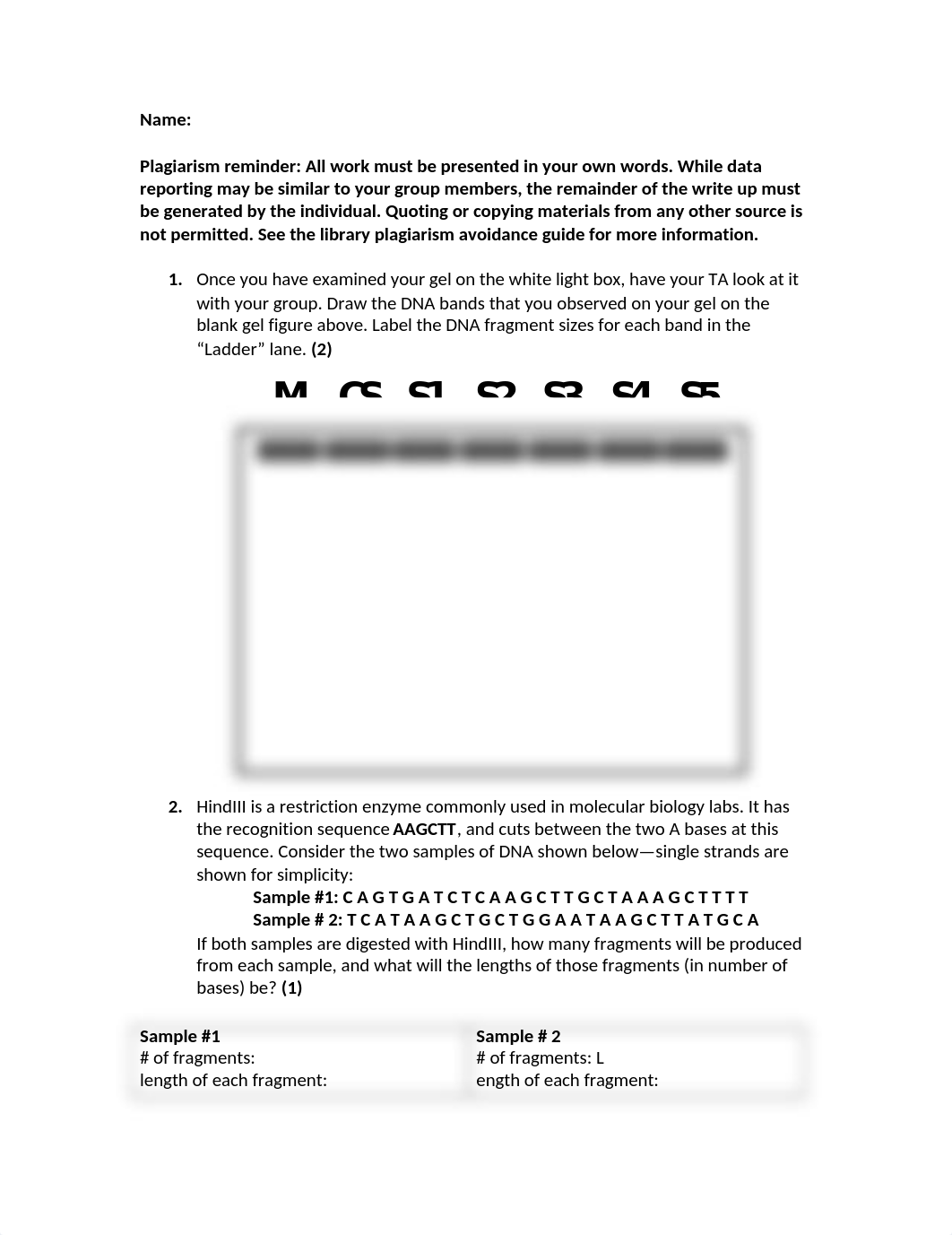 Lab 9 Gel Electrophoresis Write-up.docx_dkv0fq1glxb_page1