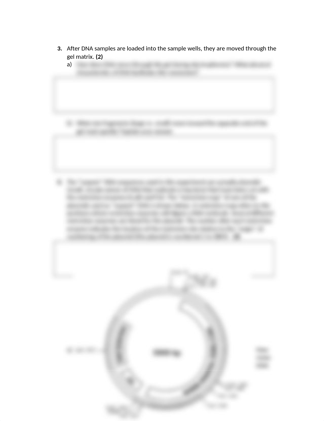 Lab 9 Gel Electrophoresis Write-up.docx_dkv0fq1glxb_page2