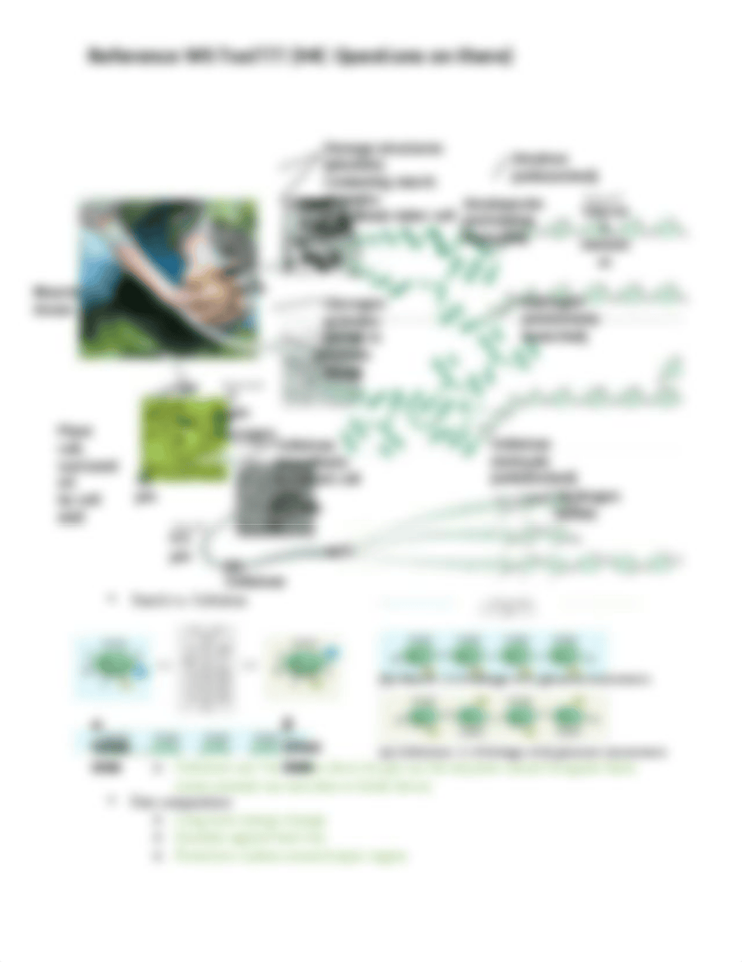 Final Exam Review Sheet BIOL102.docx_dkv0ujao7tw_page4