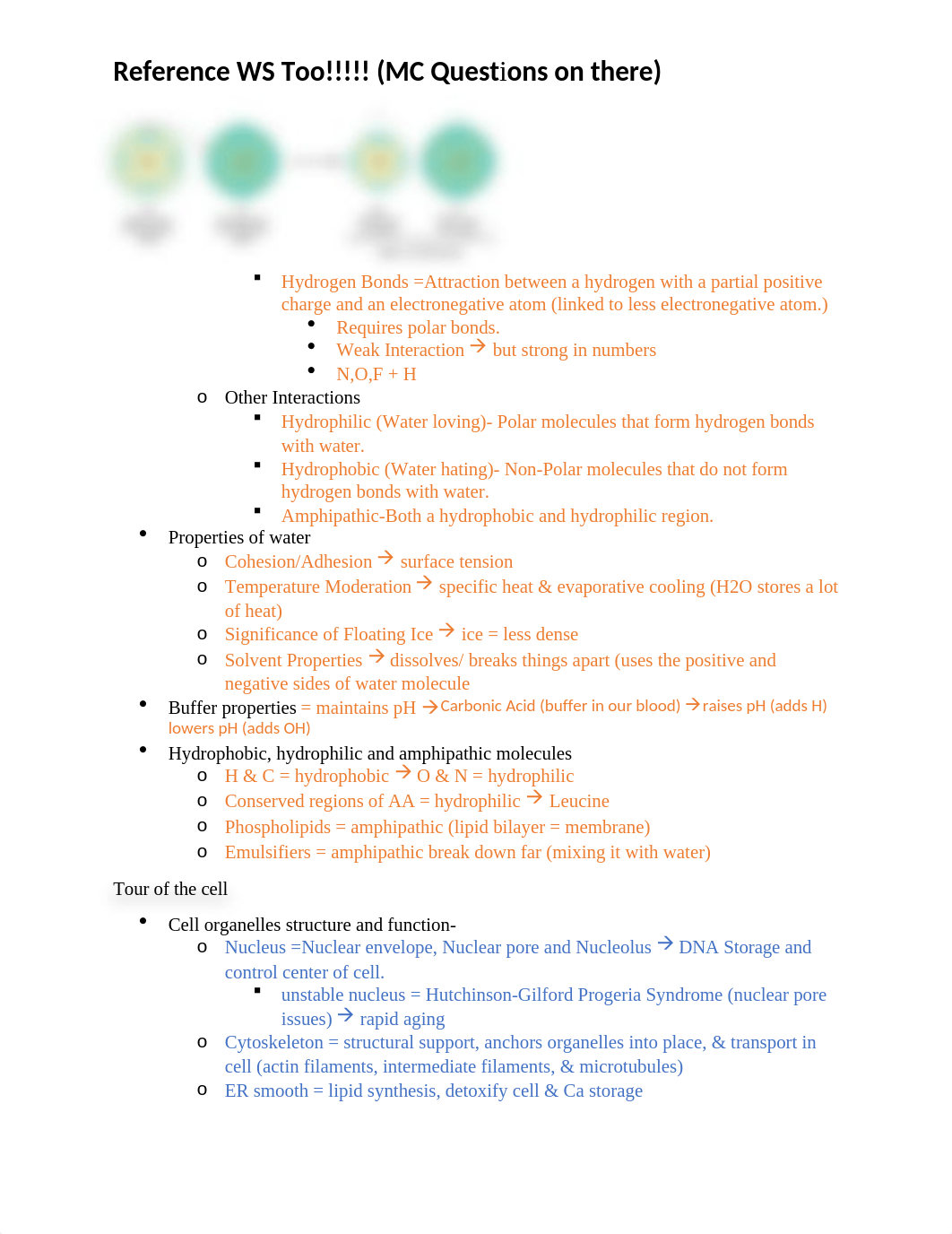 Final Exam Review Sheet BIOL102.docx_dkv0ujao7tw_page2