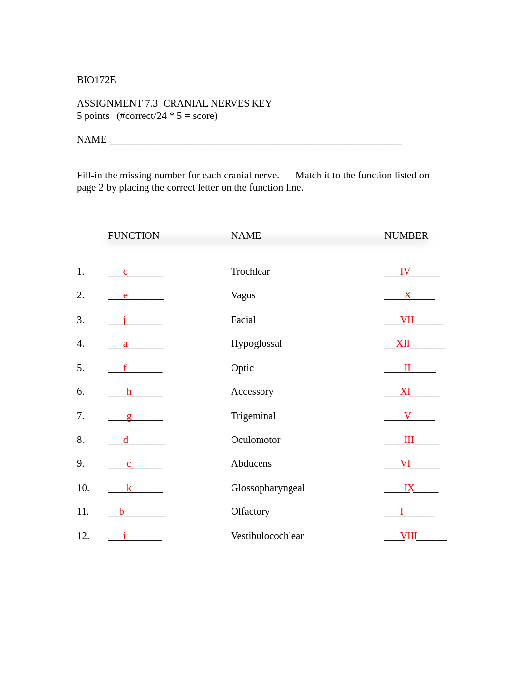 ASSN 7.3 CRANIAL NERVES KEY.docx_dkvhq747utr_page1