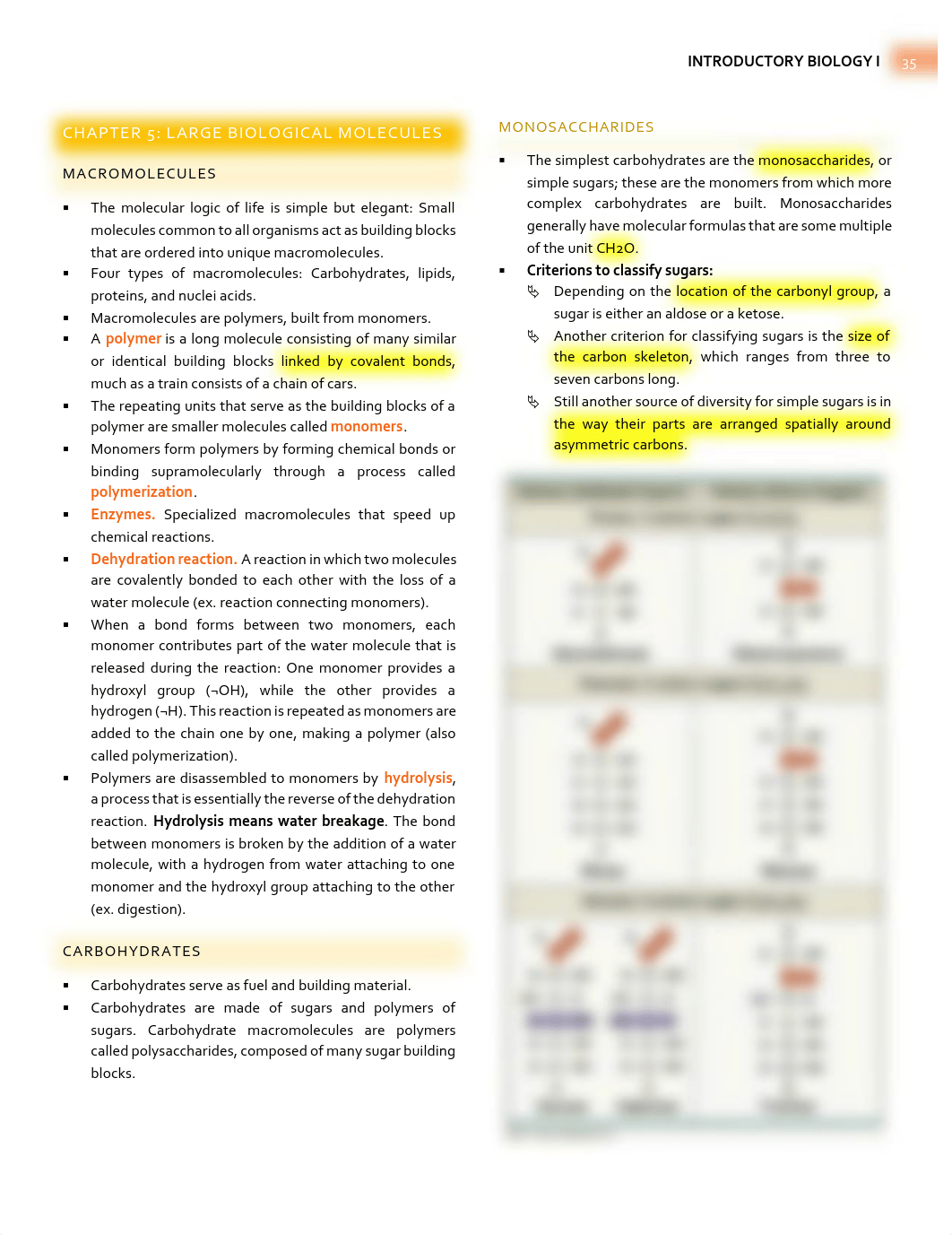 Campbell Biology - Chapter 5 Summary - Large Biological Molecules.pdf_dkvjxp5z1y8_page1