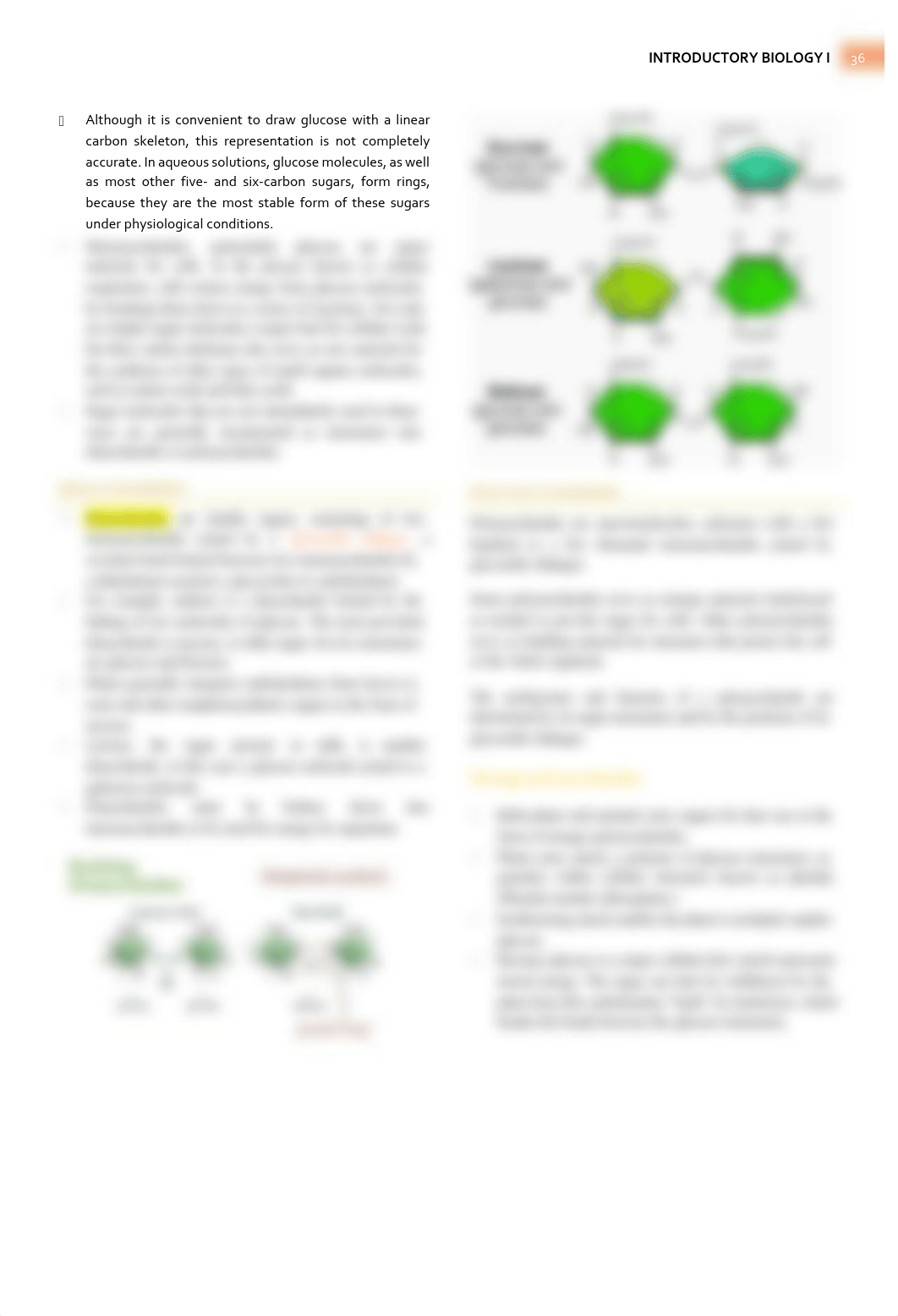 Campbell Biology - Chapter 5 Summary - Large Biological Molecules.pdf_dkvjxp5z1y8_page2