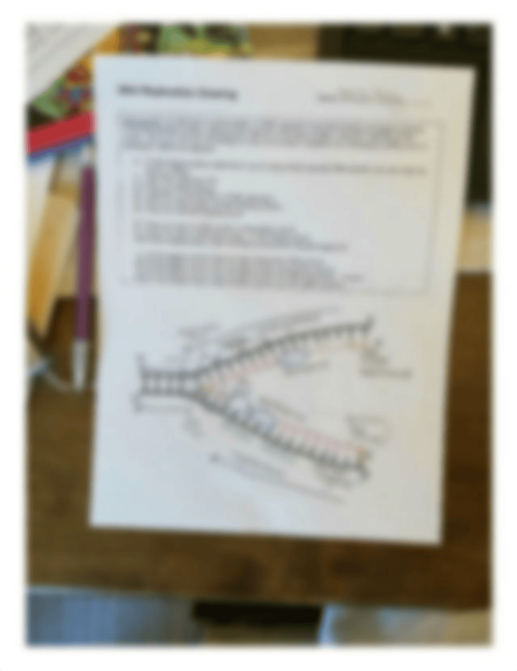 DNA Replication.jpg_dkw13g1xvbg_page1