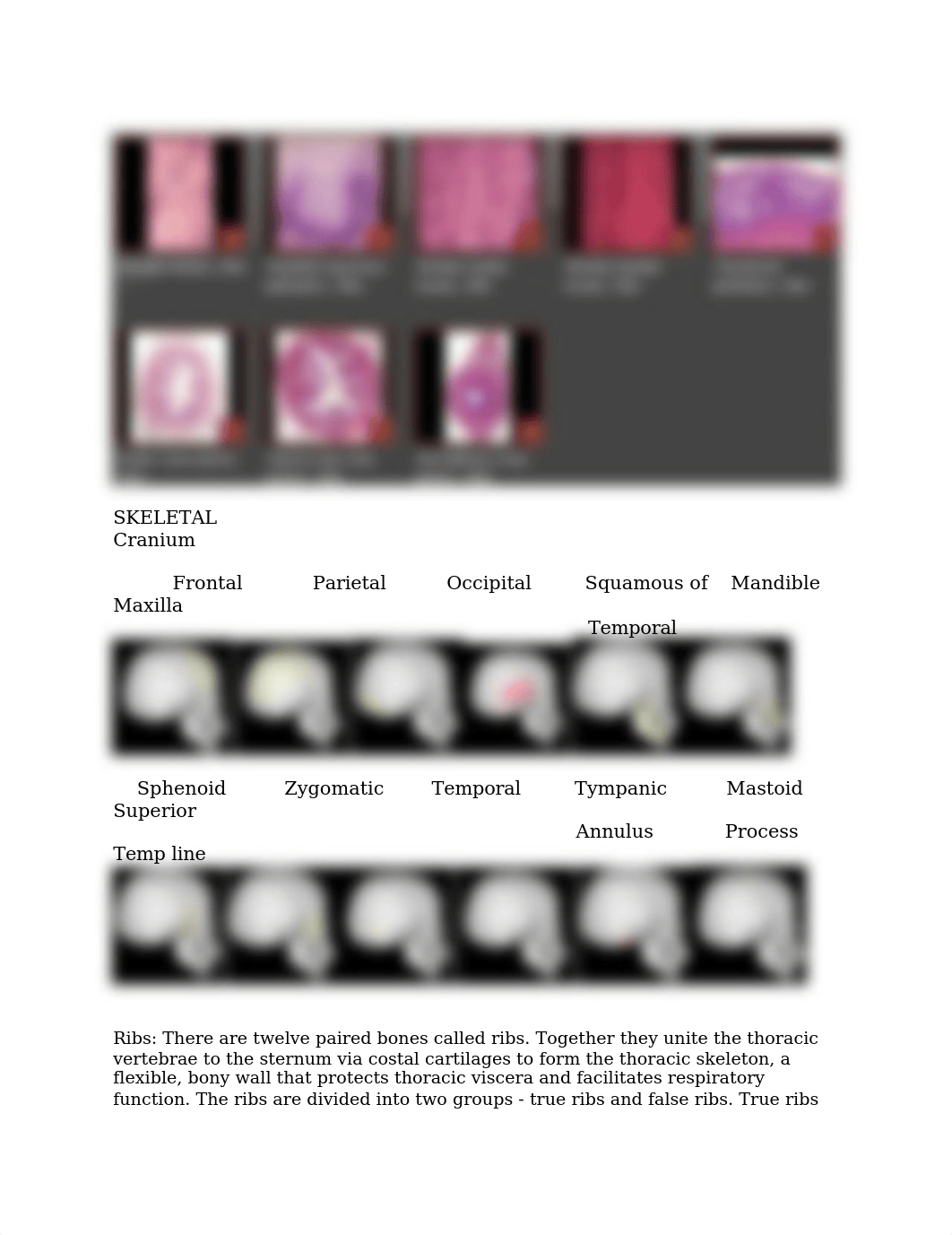 ANAT100 Practical Sheet.docx_dkwdrjyd4no_page3