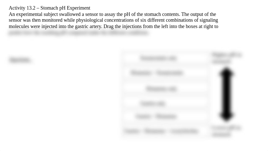Activity 13.2 - Stomach pH Experiment .pptx_dkwep0vt7k4_page1