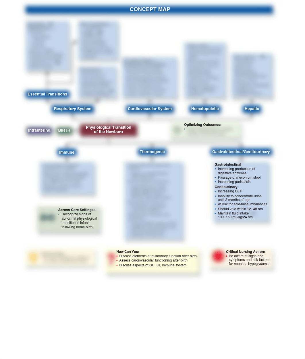 Newborn transition concept map.pdf_dkwfu0yuugv_page1