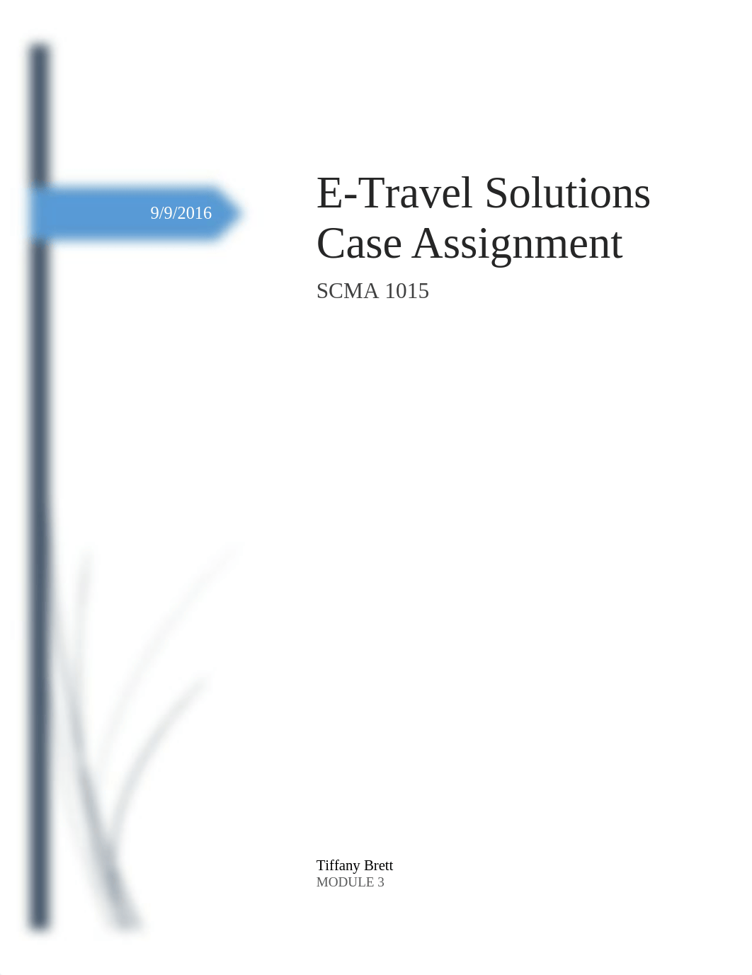 e travel solutions Assignment_dkwkxrozv1l_page1