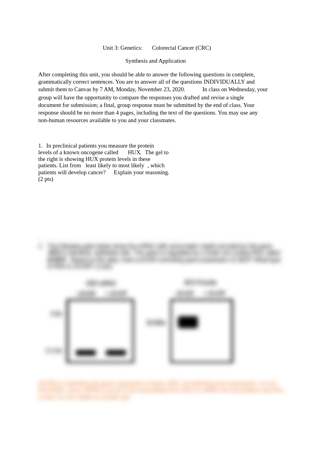 Unit 3 Synthesis Colorectal Cancer F20 Final  .docx_dkwq8i2rwdz_page1