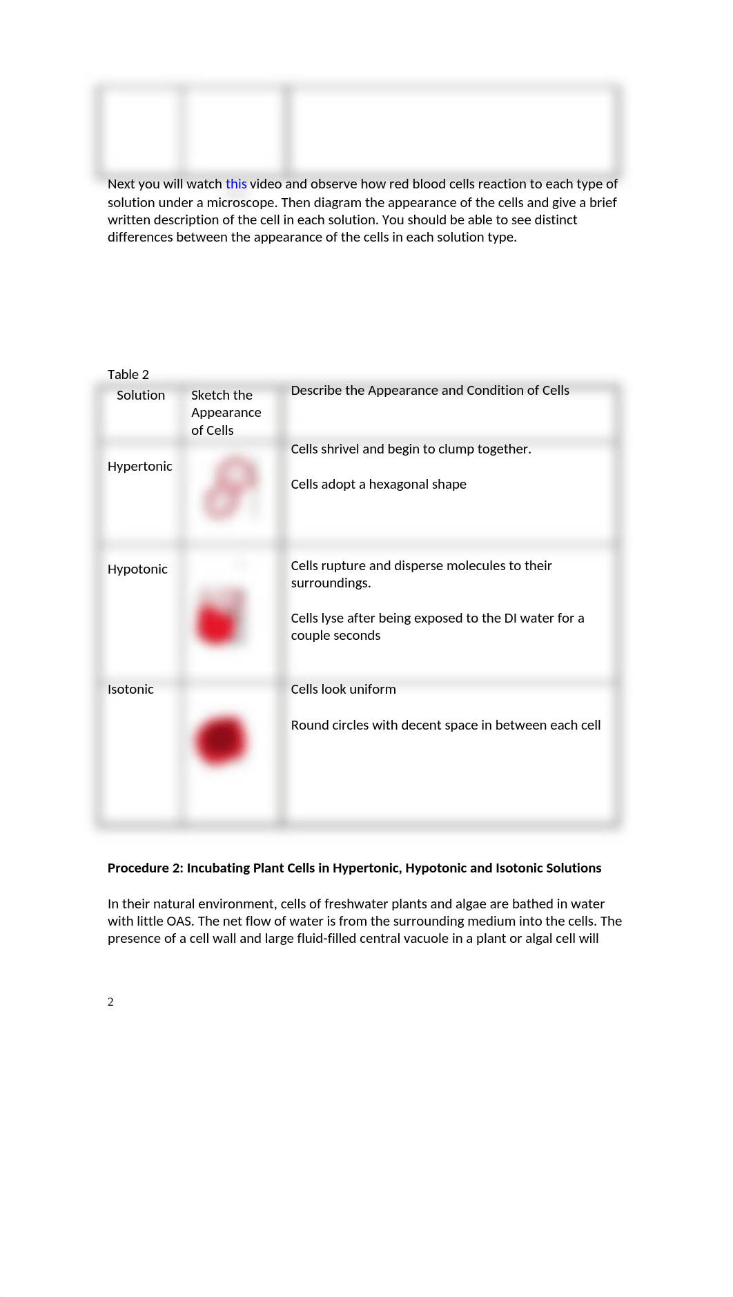 Osmosis Lab.docx_dkwvkkpzen2_page3