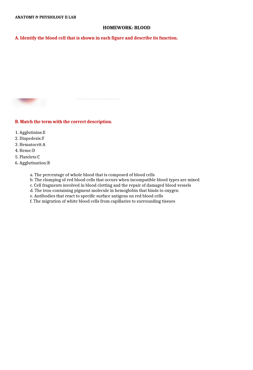 Blood Homework.docx_dkx4xbiscoj_page1