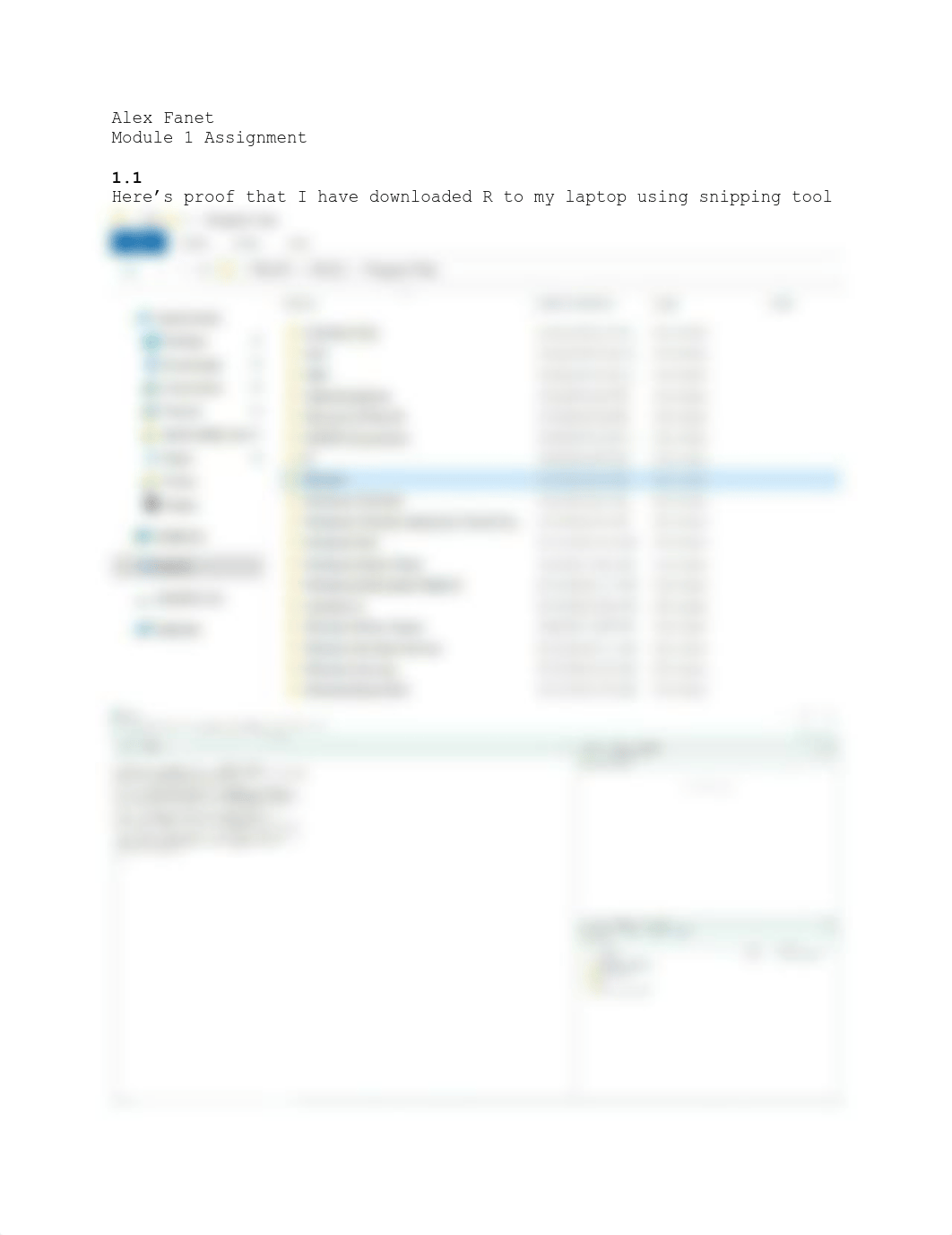 Module 1 Assignment - Alex Fanet - arfanet.pdf_dkxjlswn241_page1