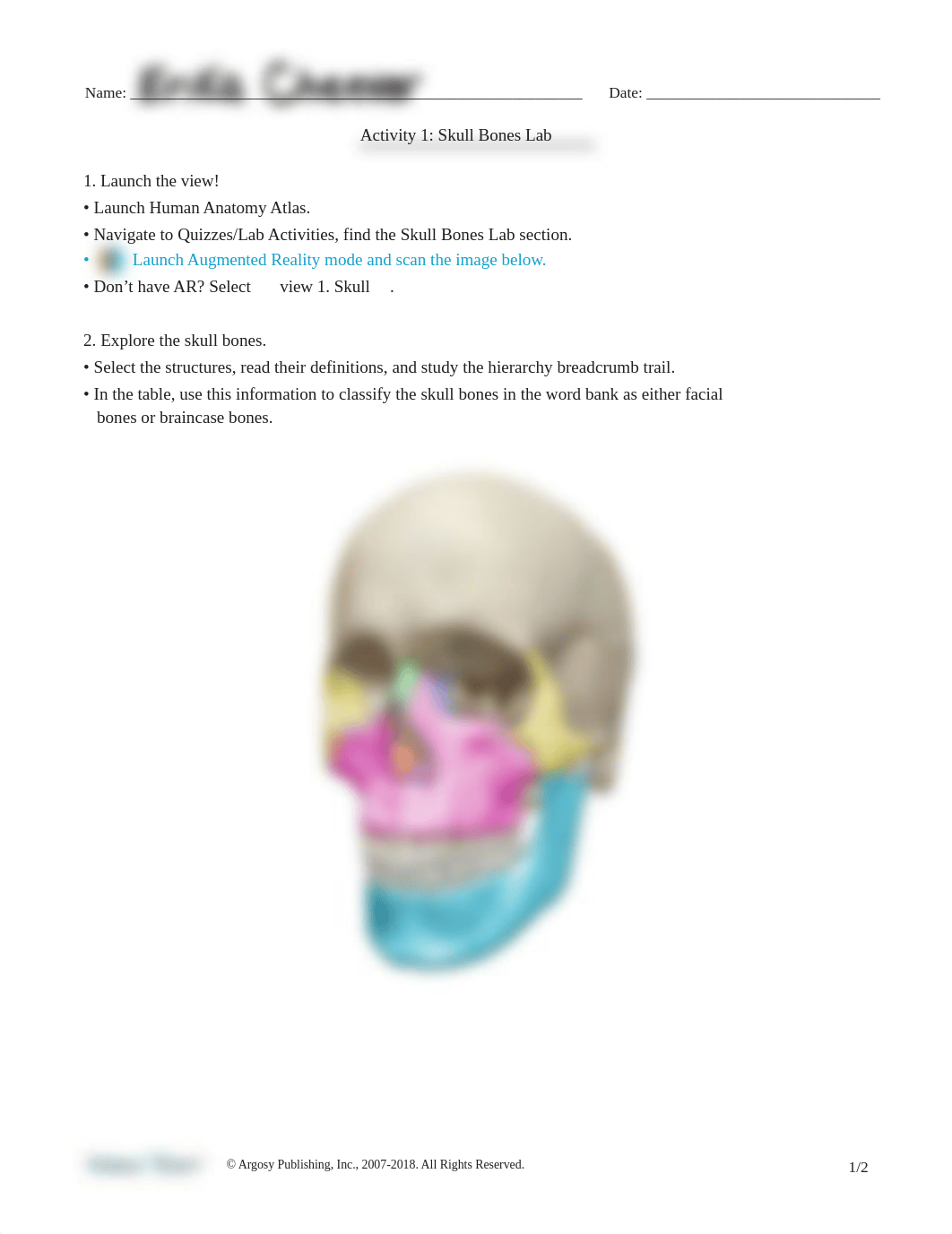 skull-bones-lab-activity.pdf_dkxks91tw9h_page1