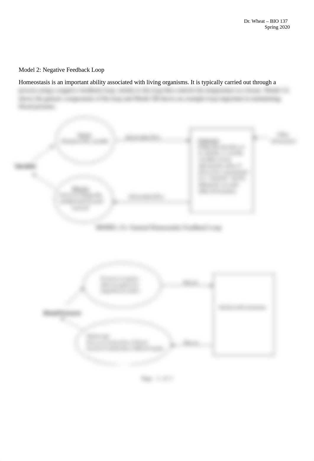 Homeostasis BIO 137 JAN 16.docx_dkxlmbktrwj_page2