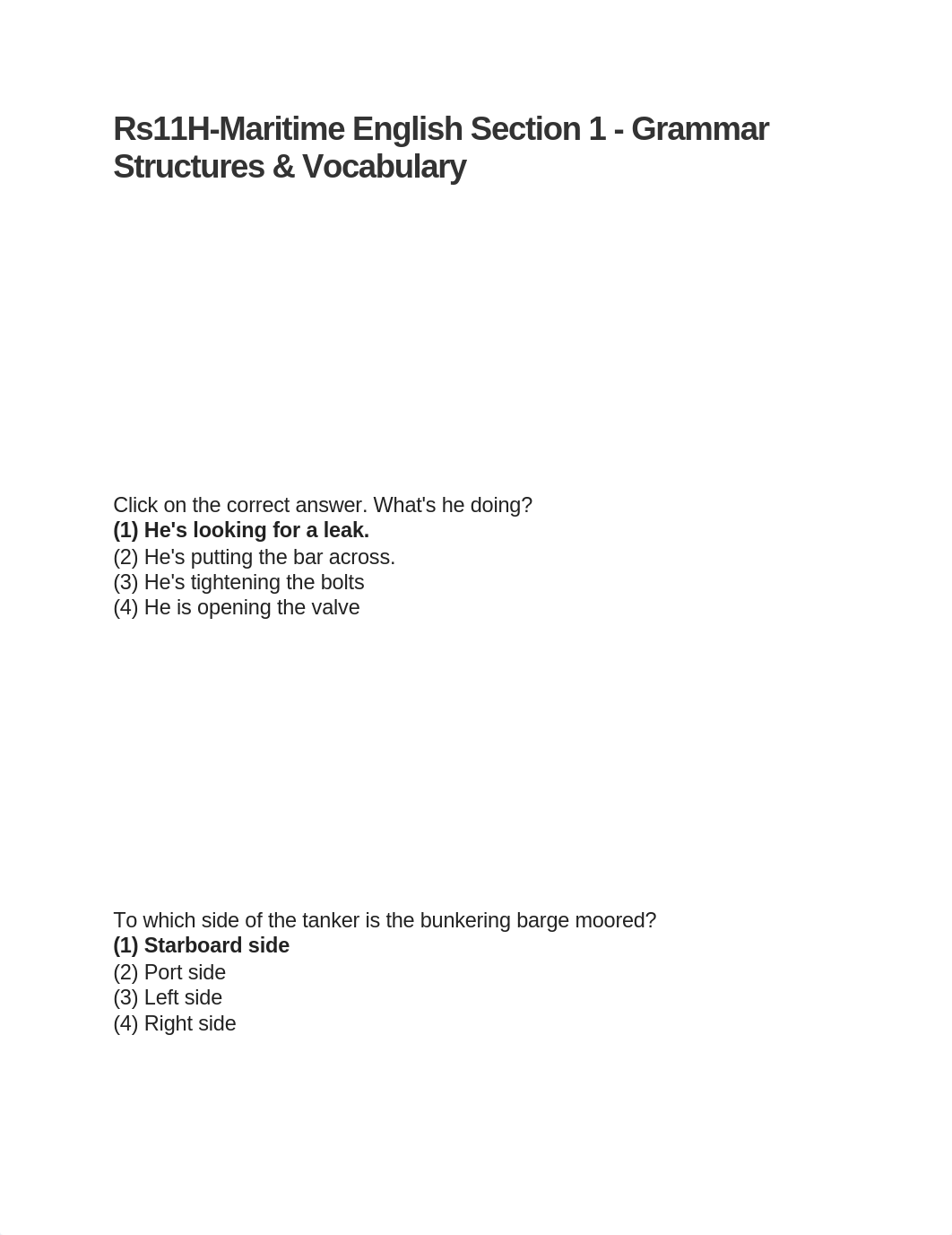 RS11H-Maritime English Section 1 - Grammar Structures & Vocabulary.docx_dkxlrdsmchk_page1