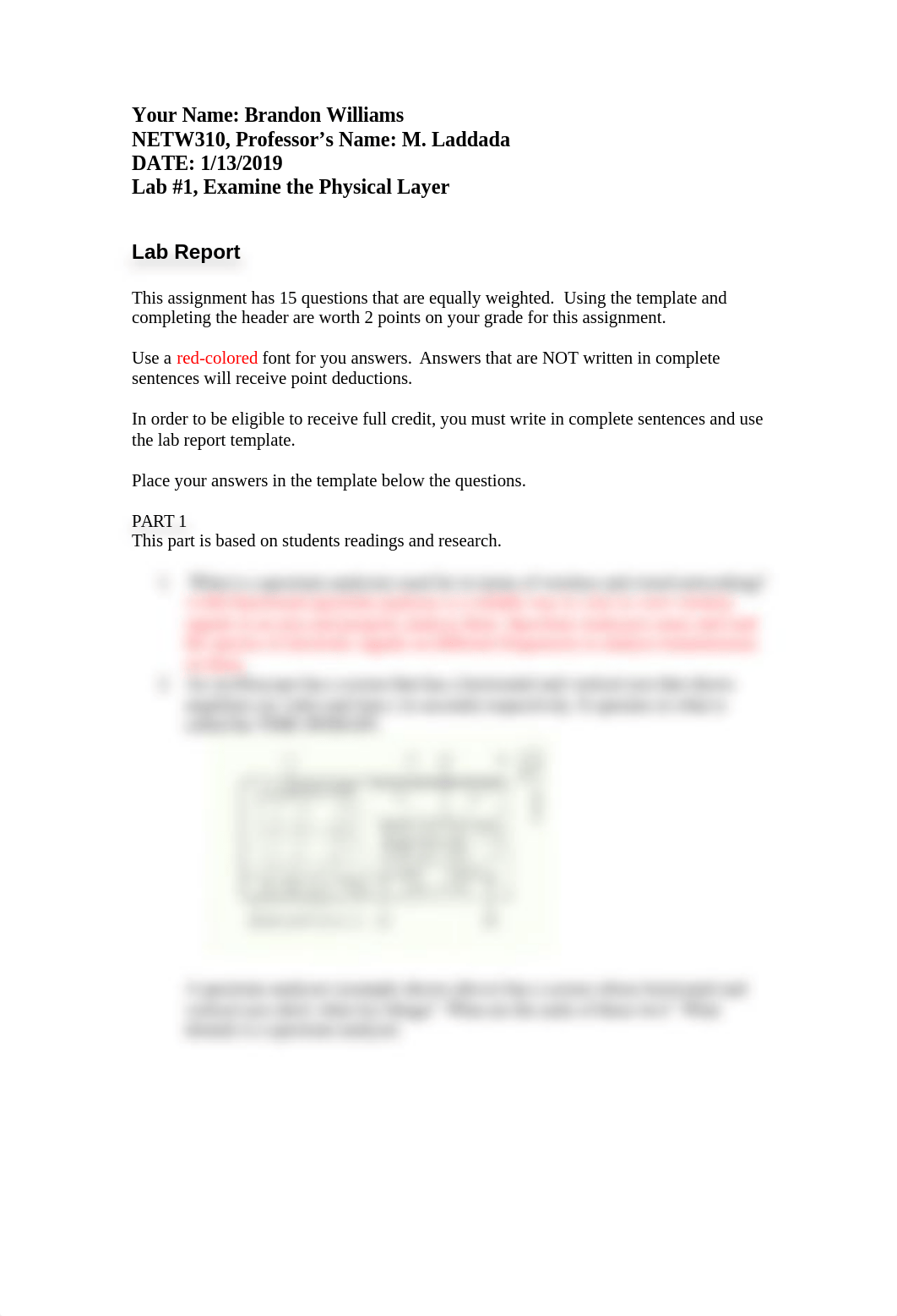 Netw 310 Week 1 Lab Report.docx_dkxoy7fo43e_page2