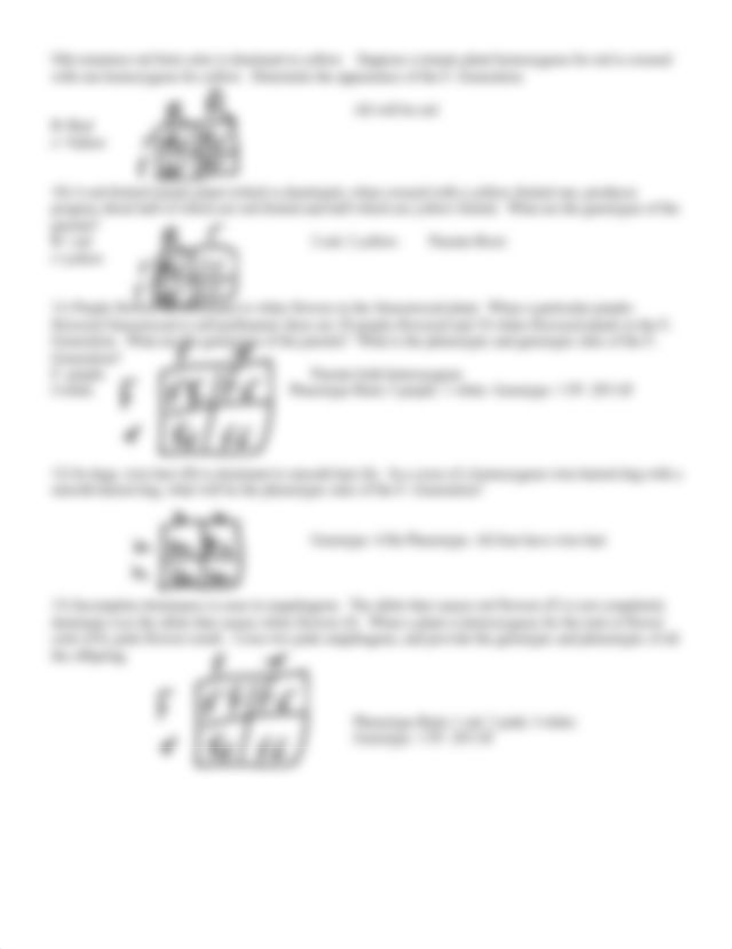 Genetics Problems Worksheet (1).doc_dkxw6gqbicf_page2