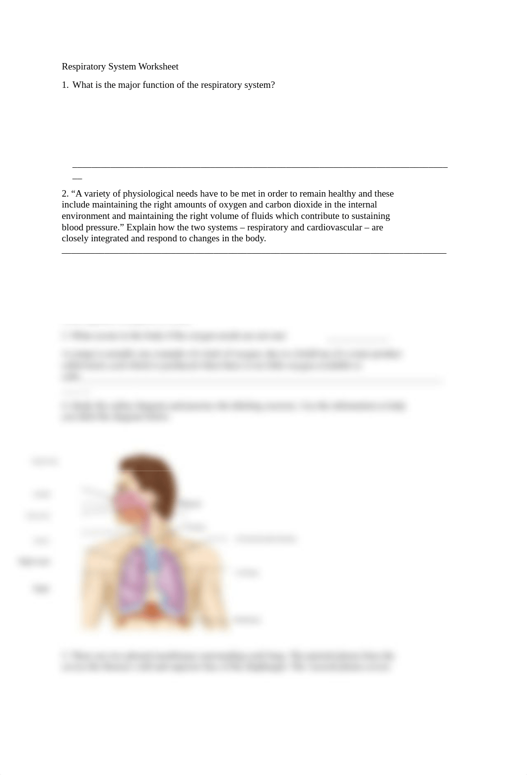 Respiratory System Worksheet.pdf_dky9qcvhezr_page1