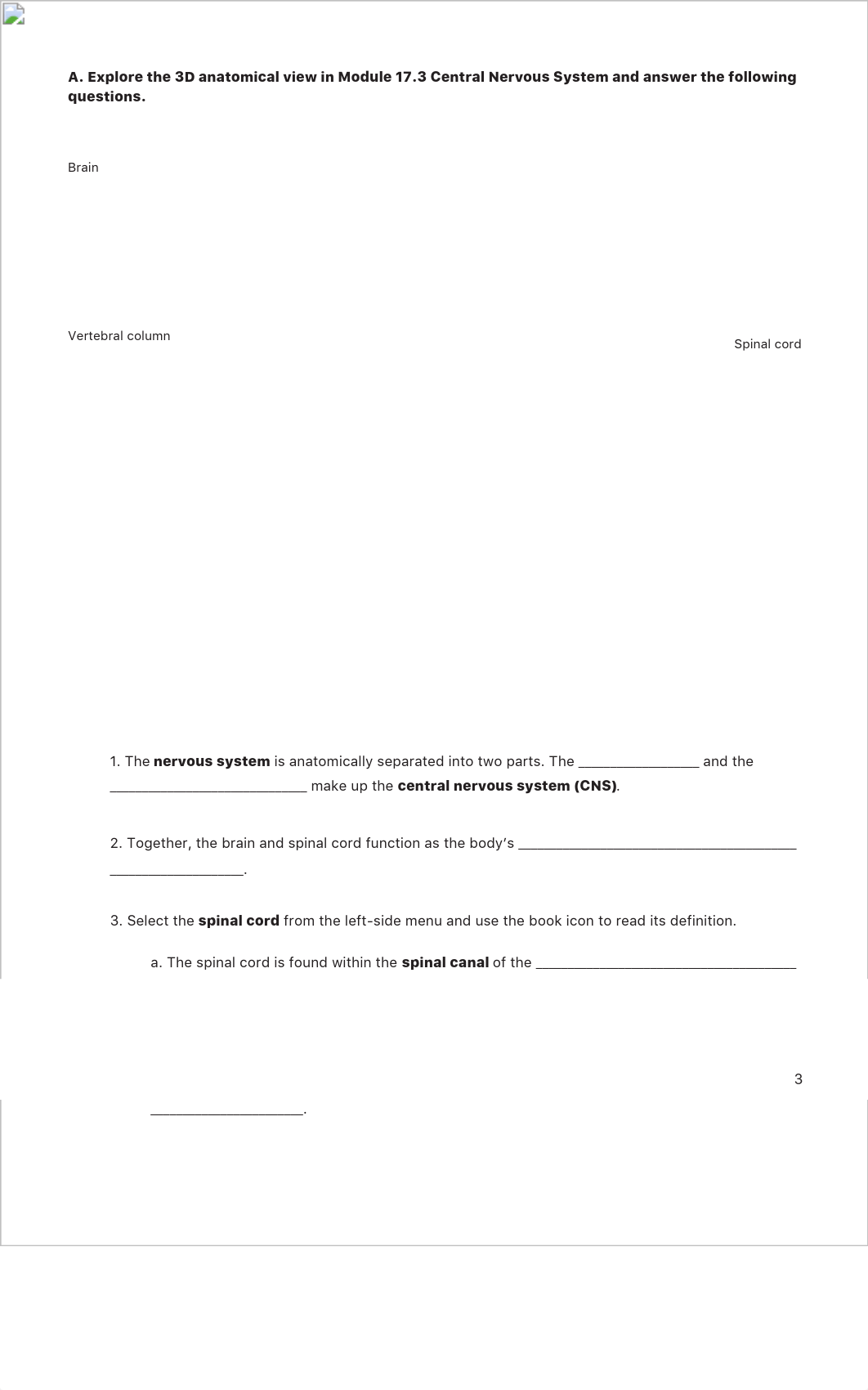 Lab_3-NervousSystem.pdf_dkyctt304tj_page2