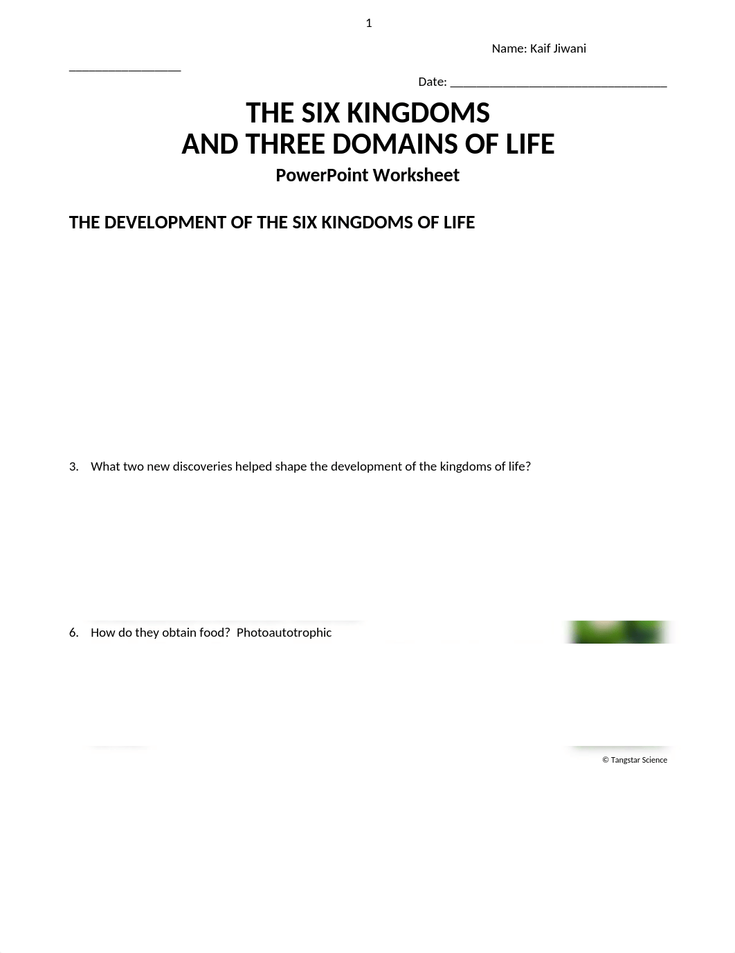 6 Kingdoms, 3 Domains.docx_dkye85b6fod_page1