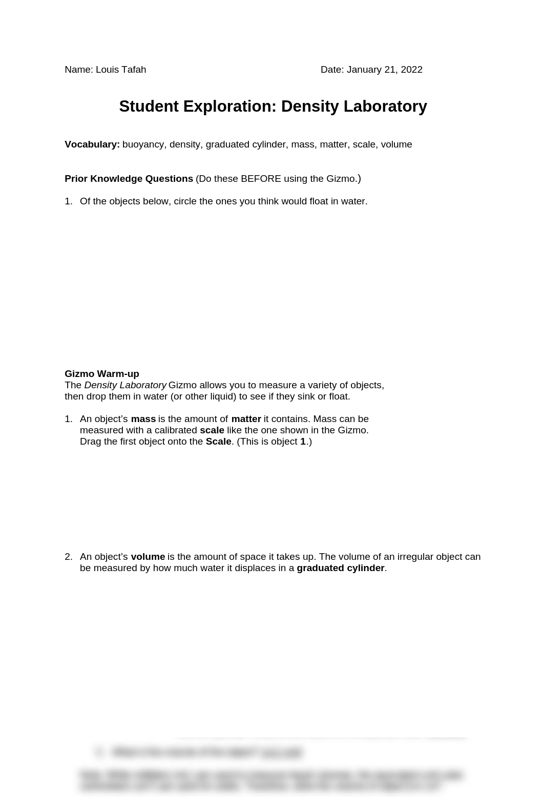 DensityLabSE Assigment.docx_dkyjcir3tdq_page1