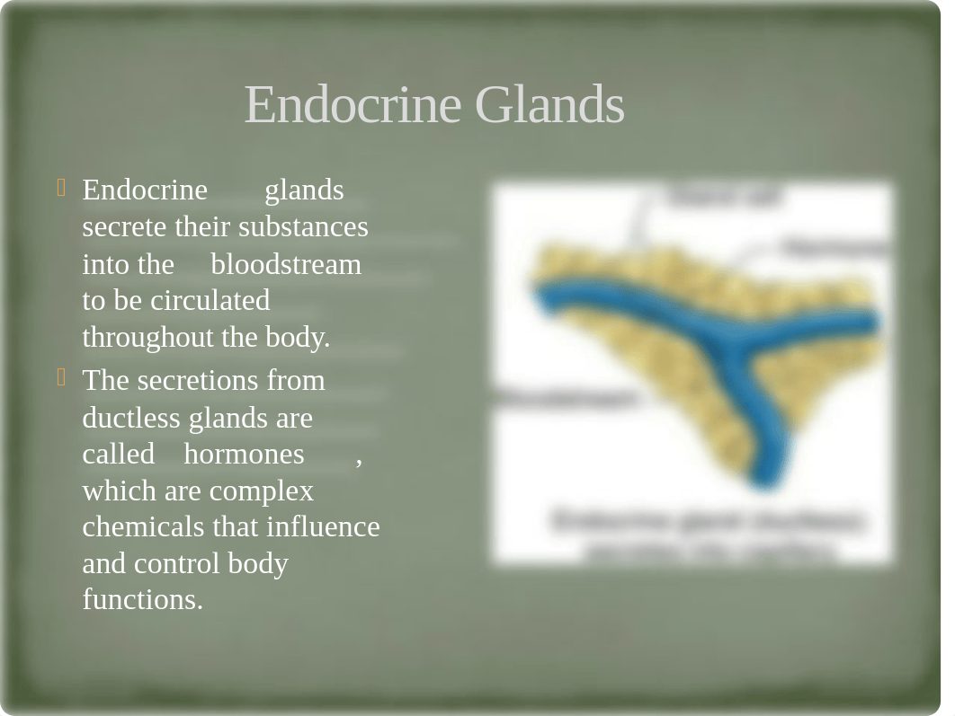 Unit 11 Chapter 34 - The Endocrine System.pptx_dkymn6cq17d_page4