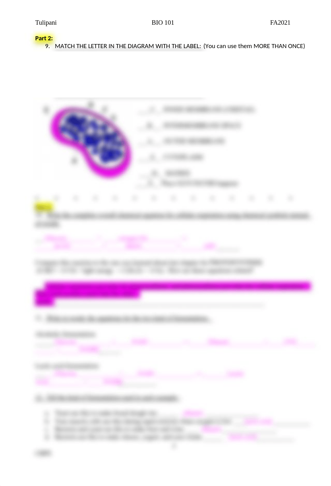 HW 6 CELLULAR RESPIRATION review worksheet mod.docx_dkypsjr684x_page2