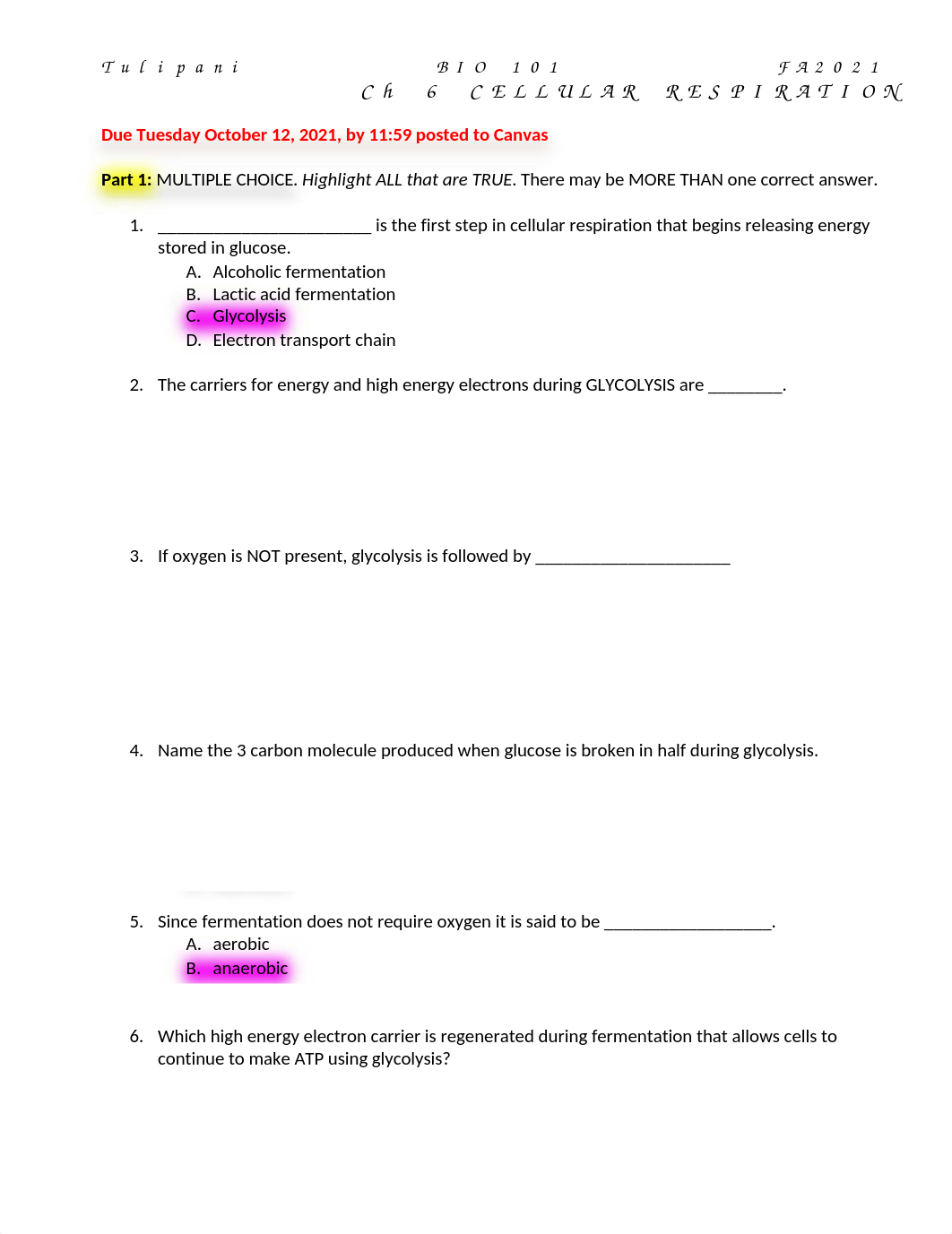 HW 6 CELLULAR RESPIRATION review worksheet mod.docx_dkypsjr684x_page1