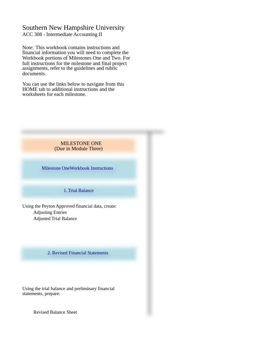 ACC 308 Final Project Workbook Pool, Sofia.xlsx_dkyuchihu9u_page1