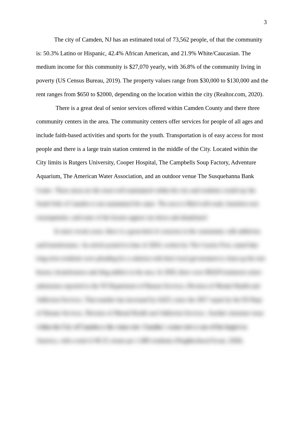 Camden NJ, A Community Assessment FINAL 11.24.pdf_dkyye5304s1_page3