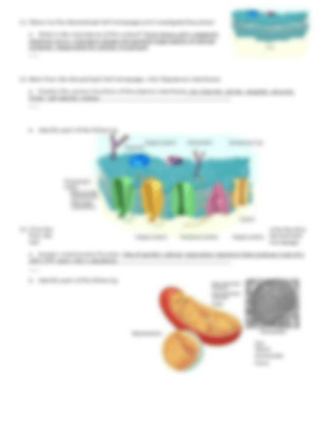 Phys ch 3_dkz324ef2yl_page5