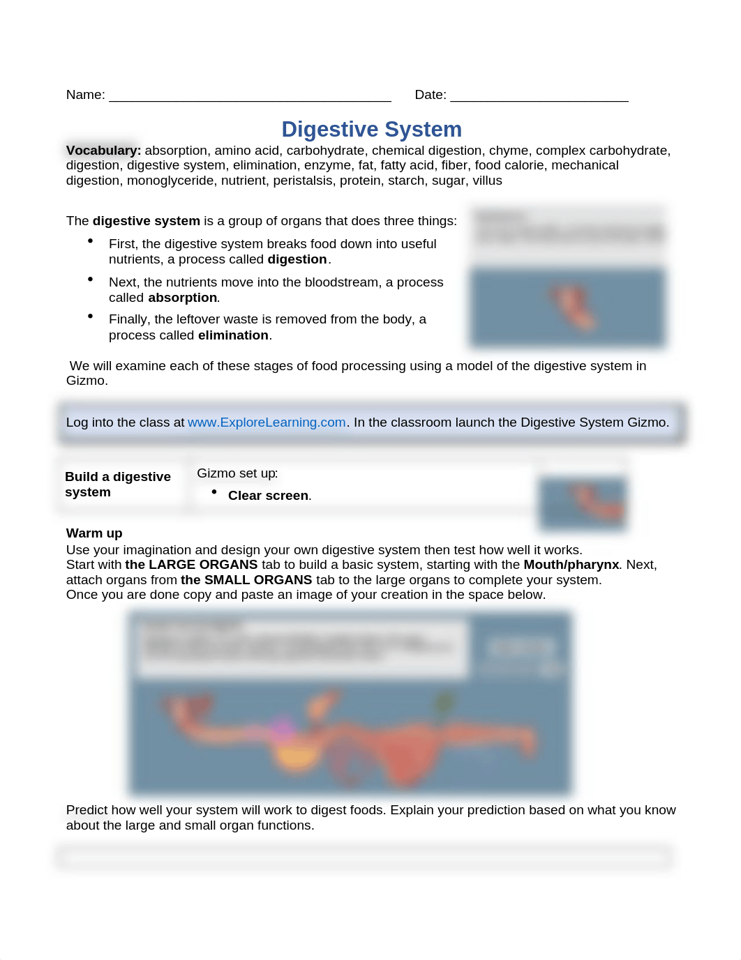 Gizmo-Digestive System Final.docx_dkz3ae6lewp_page1