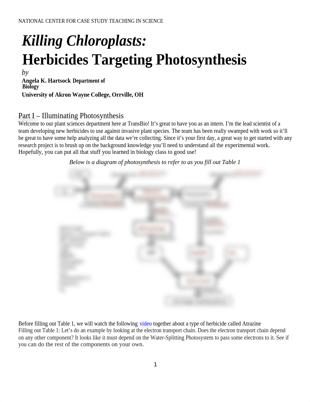 Annabelle Bastura Photosynthesis.docx_dkz5uwee3ma_page1