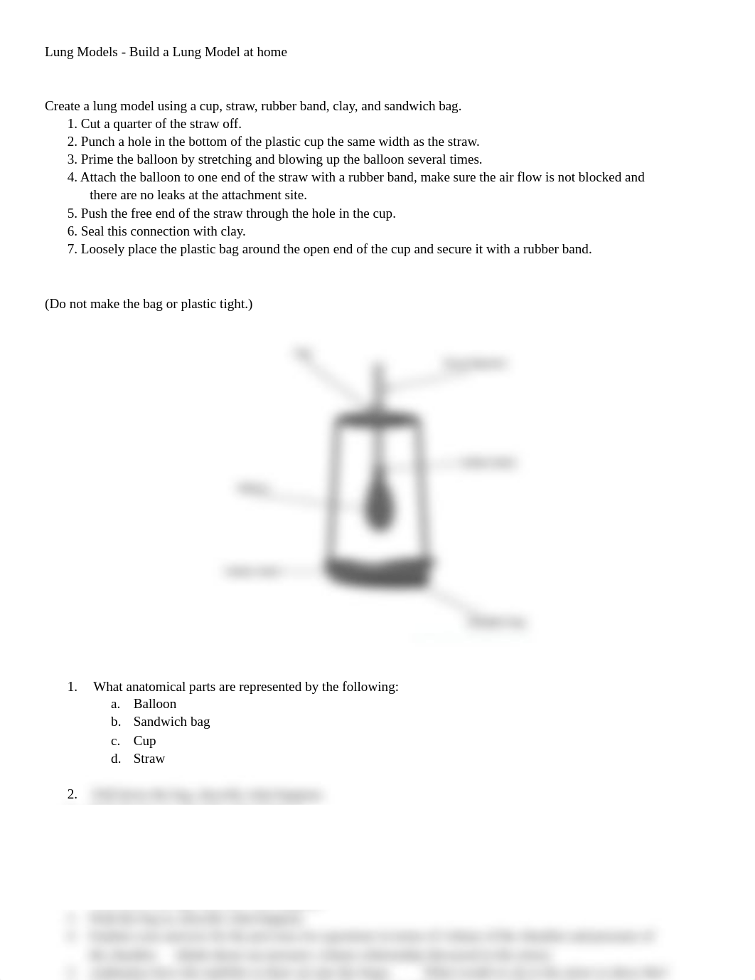 Lung Model Respiratory Lab.docx_dkz6r69p1m7_page1