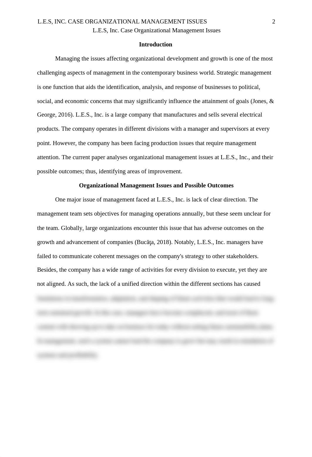 L.E.S, Inc. Case Organizational Management Issues.doc_dkzddp8rdop_page3