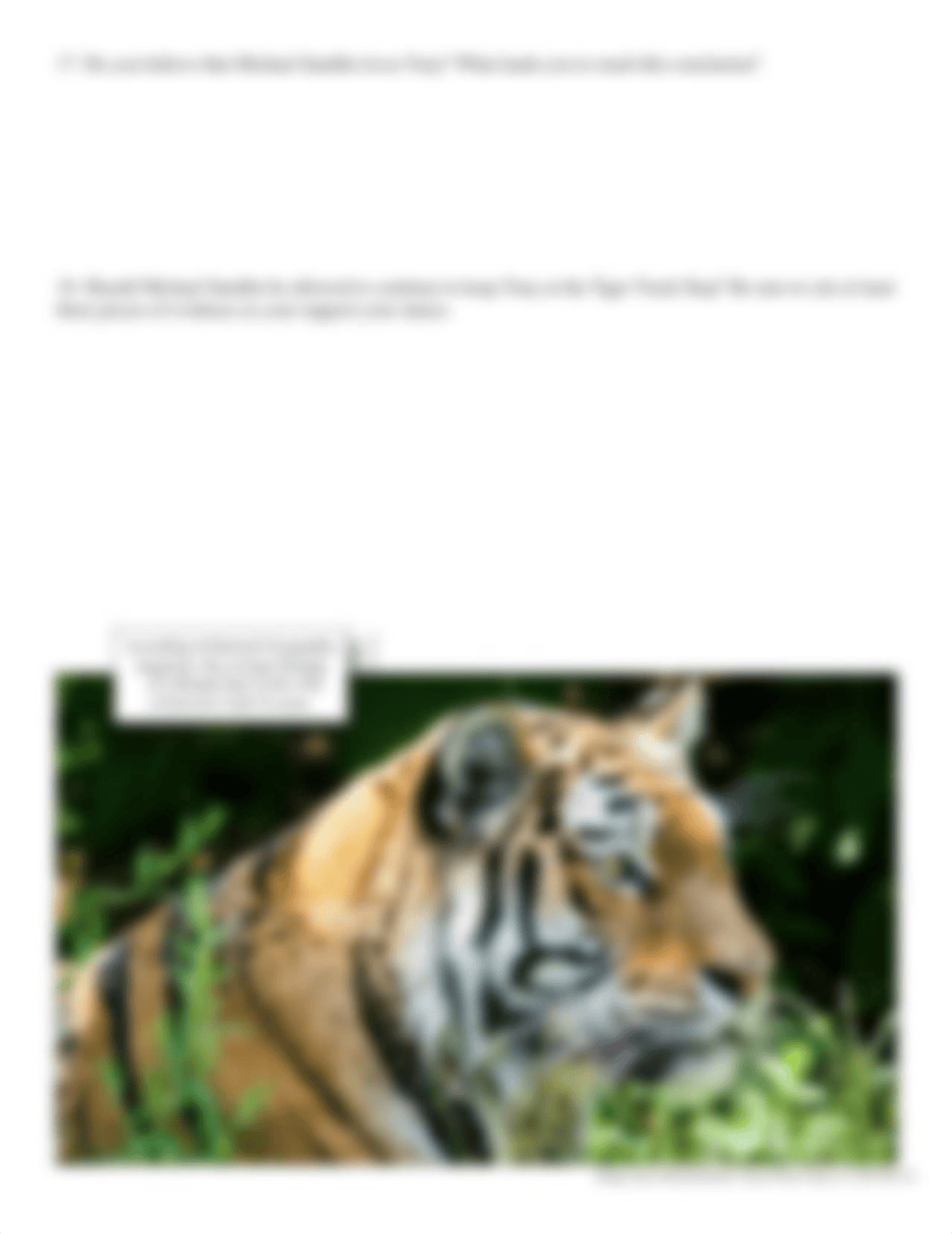 Kiara_Echeverria_-_TonyTheTiger_Worksheet.pdf_dkzhq96g2nt_page4