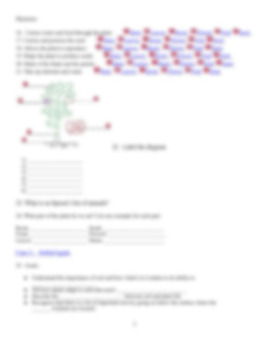 Great_Plant_Escape_Internet_Activity.2014_dkzn2d1qw1x_page2