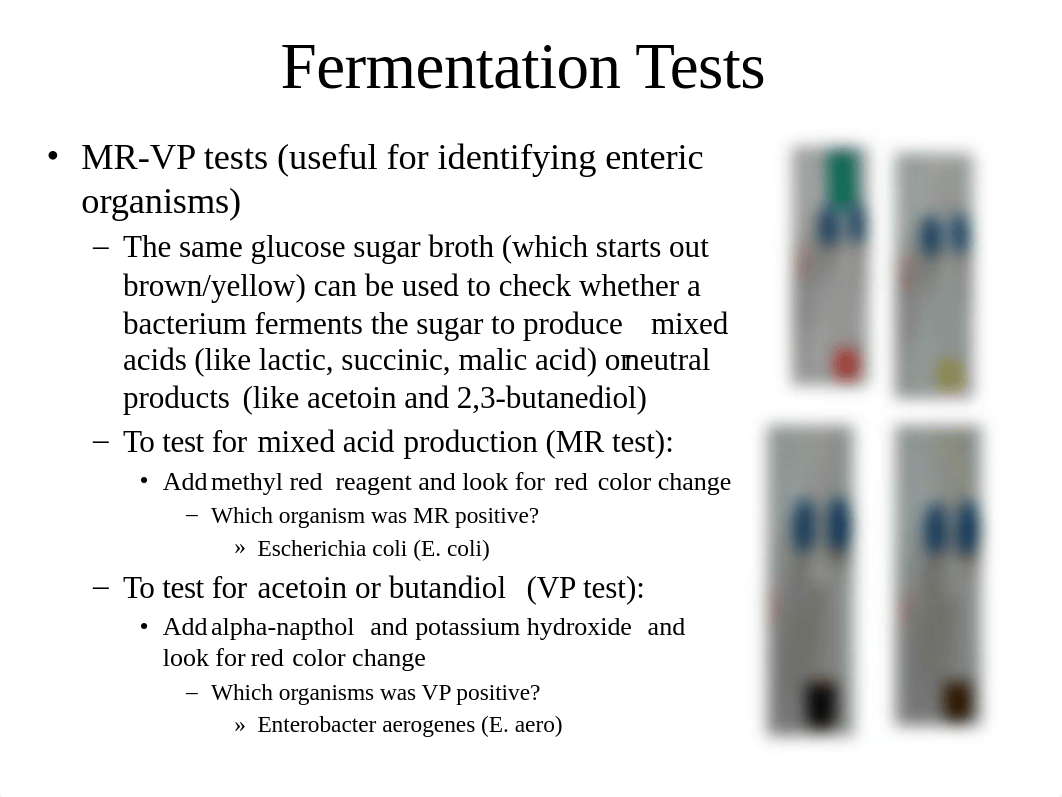 Microbiology Final Lab Exam Review Spring 2021.pptx_dkzuknqfu71_page5