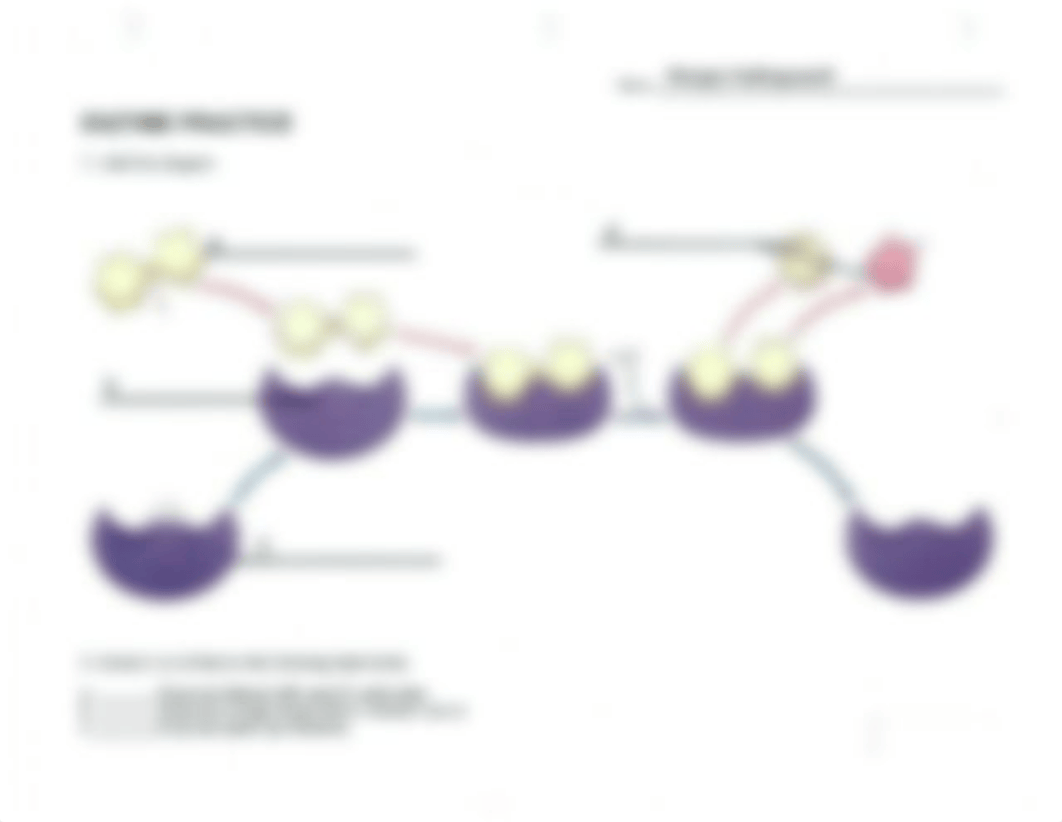 BIOL 1108 Lab Exercise 8.pdf_dkzx3anhlo0_page1